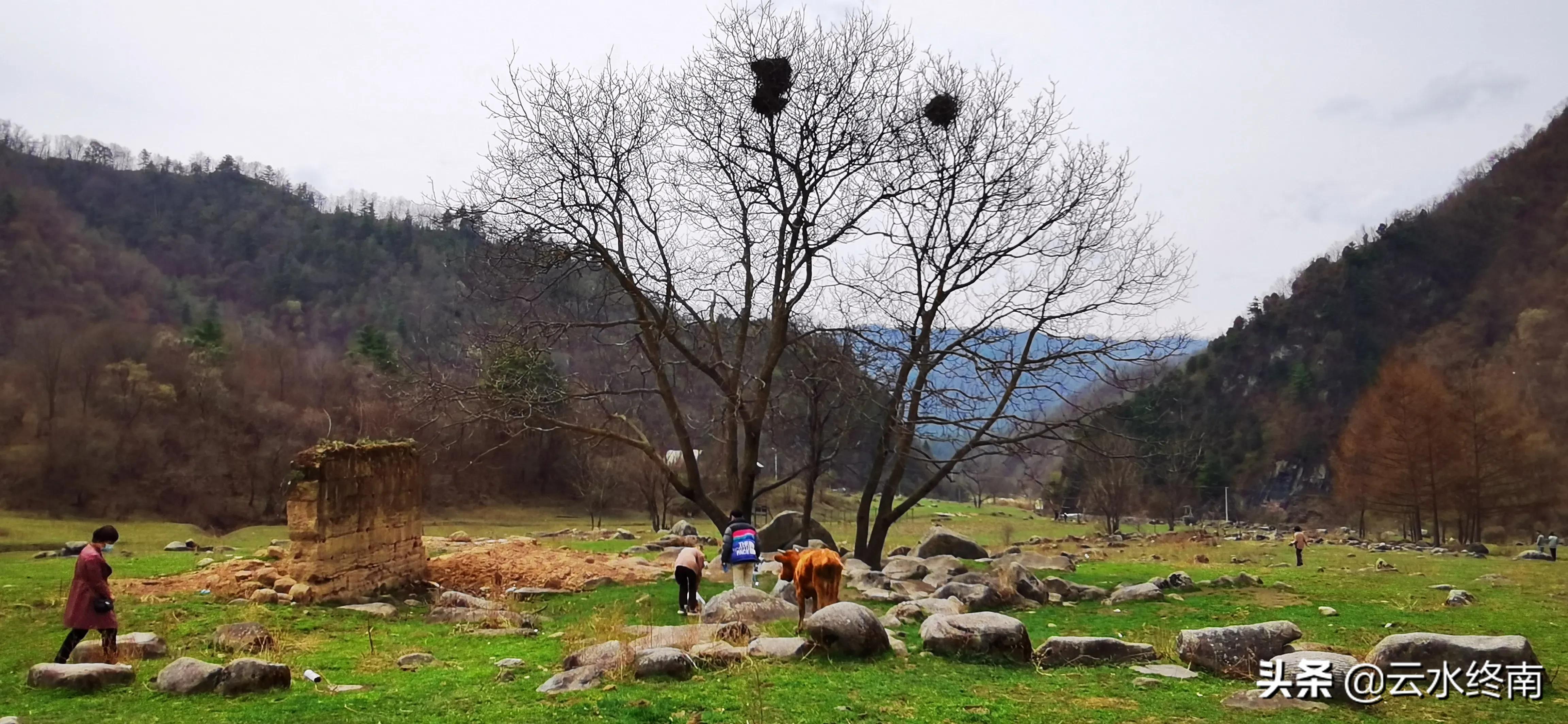 谈球吧🍽-👴一起聊球：探索足球的无限可能