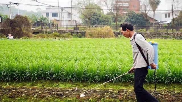 蜜柚官网,解锁健康生活新密码✅✅✅蜜柚官网是多少 蜜柚官网,解锁健康生活新密码✅✅✅蜜柚官网是多少