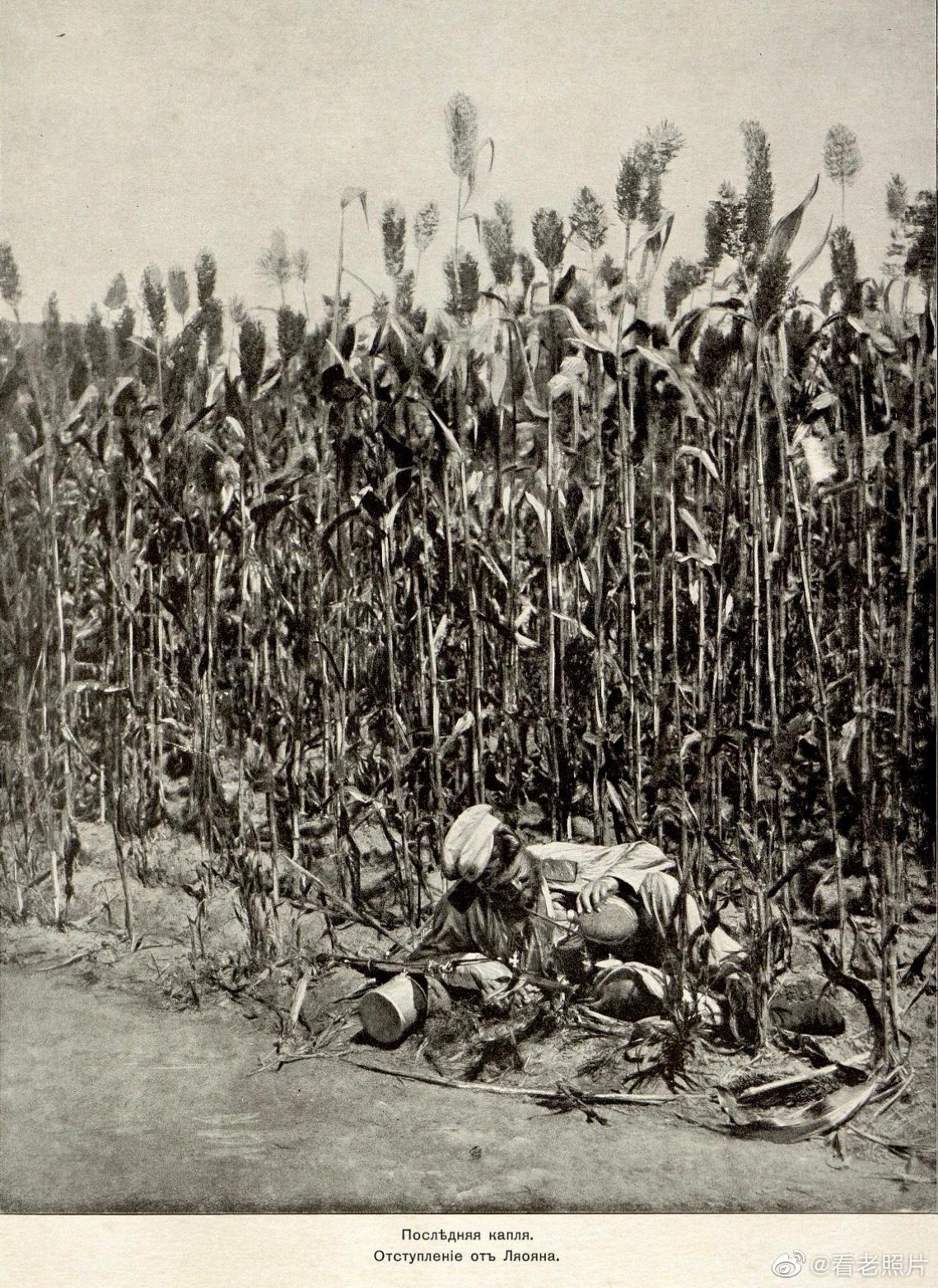 90彩票，网络彩票的梦幻与现实✅✅✅90彩票平台是真的吗