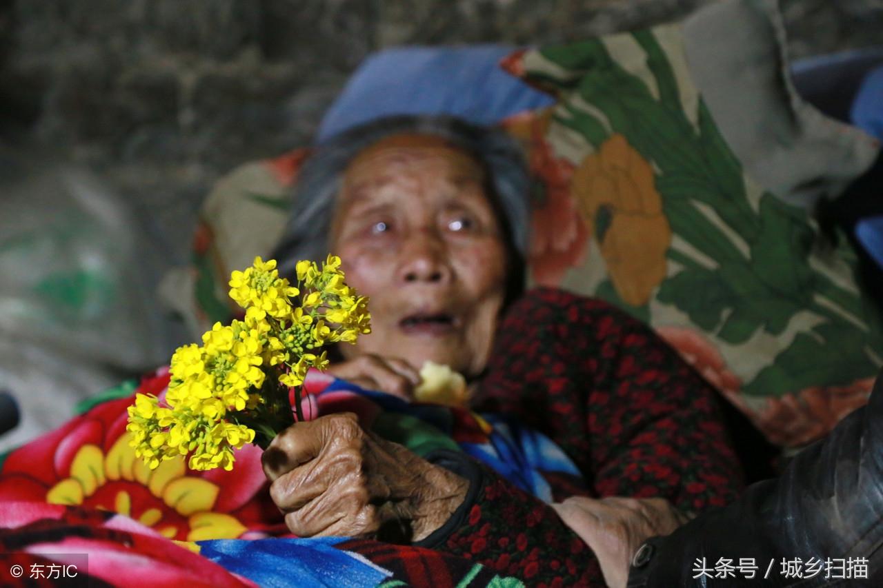 警惕!PG95彩票背后的陷阱与风险✅✅✅pg59彩票网 警惕!PG95彩票背后的陷阱与风险✅✅✅pg59彩票网