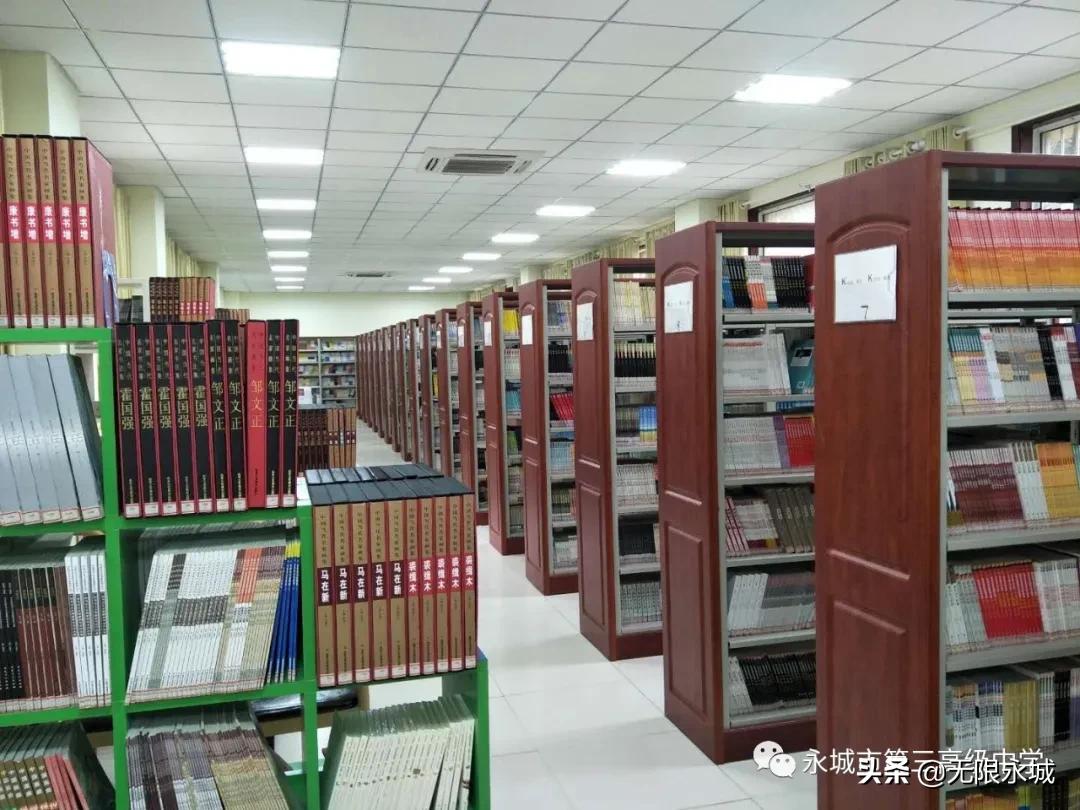 555世纪官网，重塑未来，共创辉煌的数字乐园✅✅✅555世纪平台